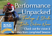 Magic Millions